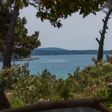 Holiday home Seaside Holiday House Artatore, Losinj - 17102 *